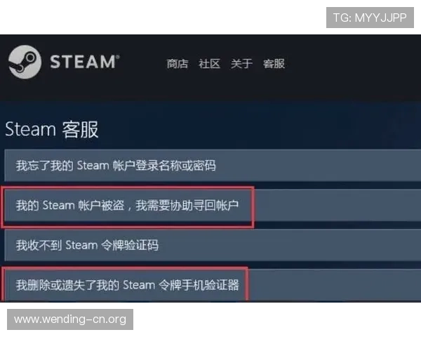问鼎在线登录账号安全保障措施提升账号安全性防止账号被盗的有效方法